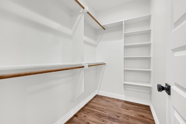 spacious closet with wood-type flooring