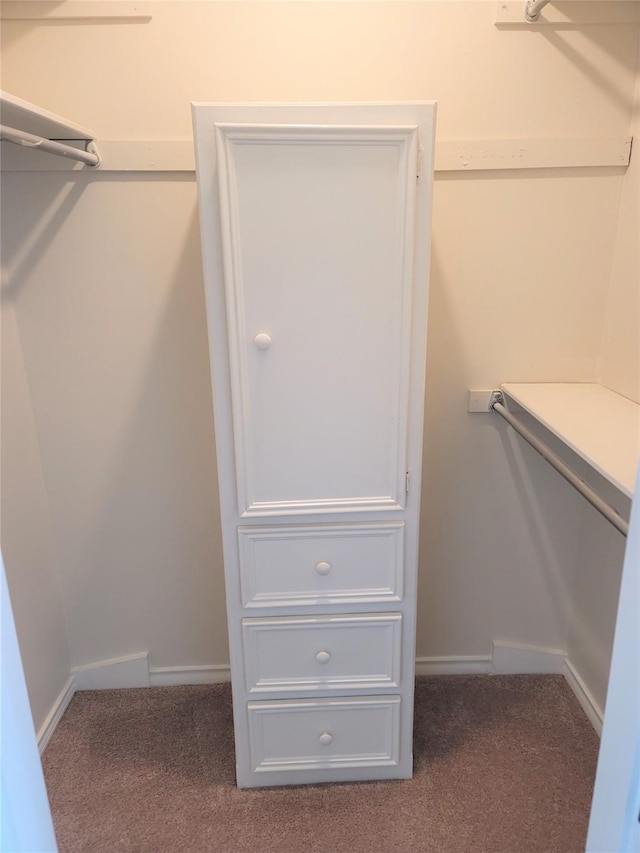 walk in closet featuring carpet