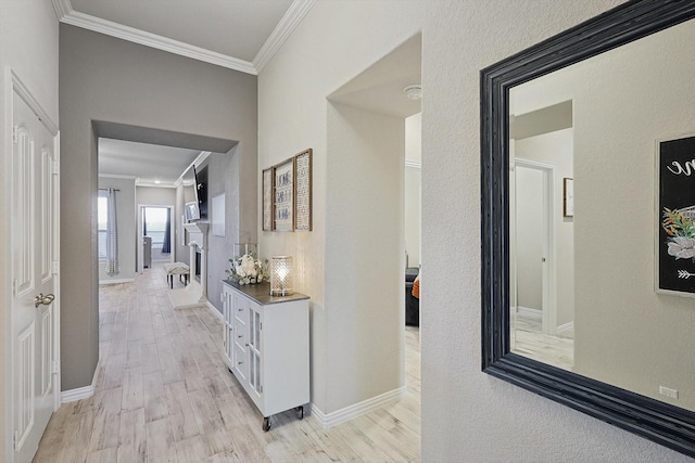 hall featuring light wood-type flooring and crown molding