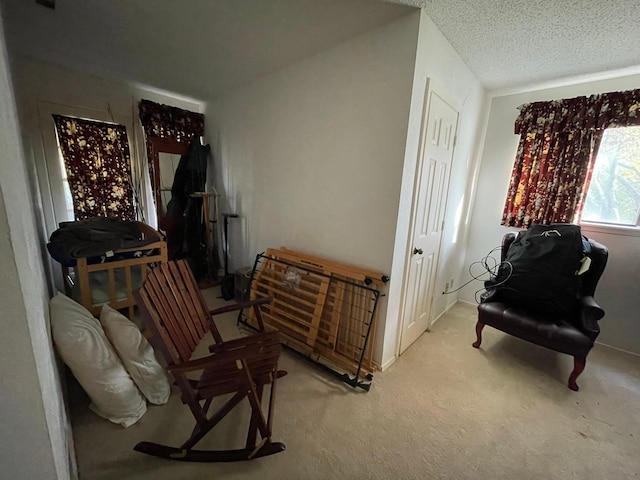 sitting room featuring light colored carpet and a textured ceiling