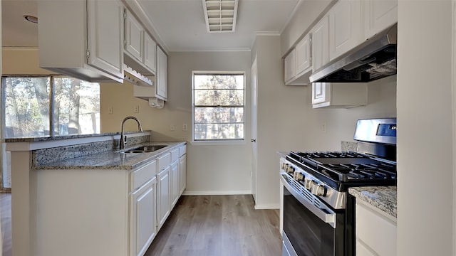 kitchen with stainless steel range with gas cooktop, ventilation hood, crown molding, white cabinets, and light wood-type flooring