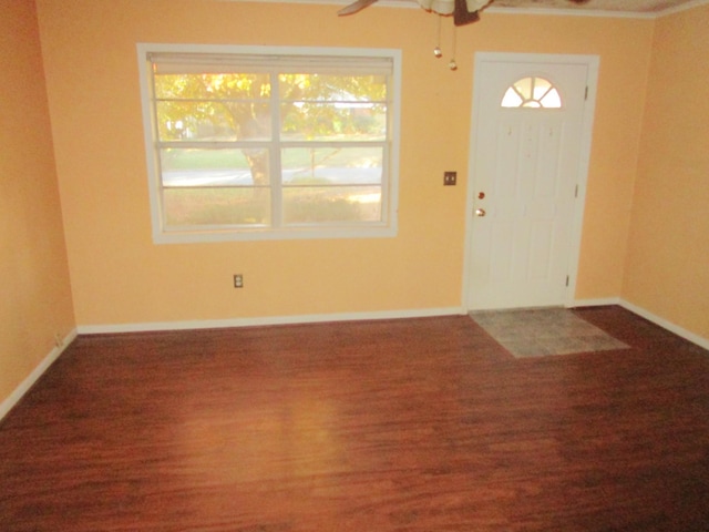 foyer featuring ceiling fan and dark wood-type flooring