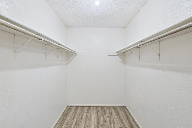 spacious closet with hardwood / wood-style floors