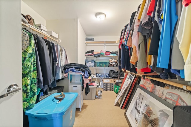 walk in closet with light colored carpet