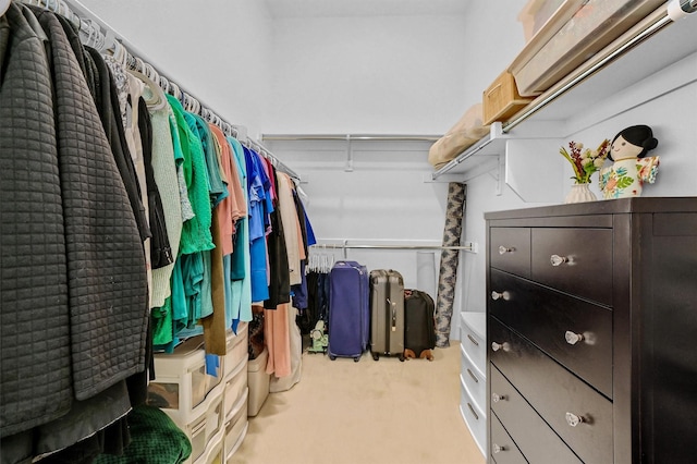 spacious closet with light colored carpet