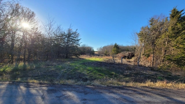 7142 County Road 1048, Celeste TX, 75423 land for sale