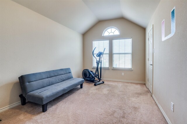 workout area with light colored carpet and vaulted ceiling