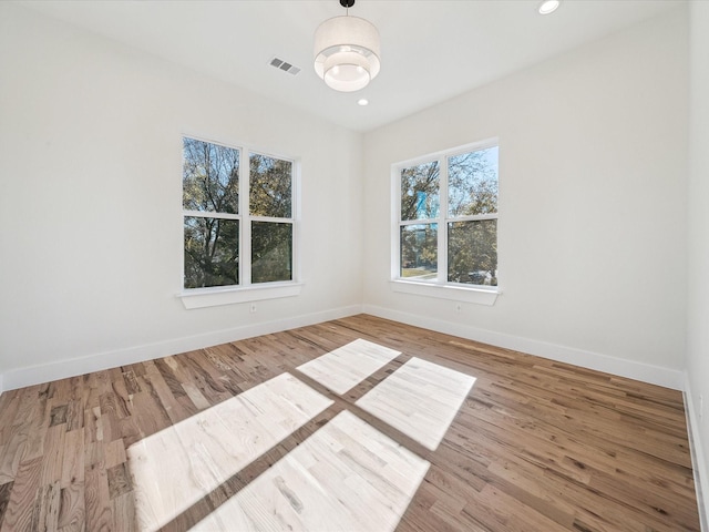 spare room with wood-type flooring