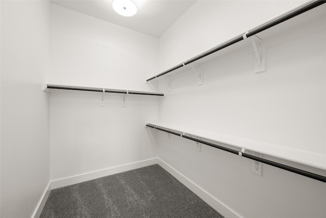 313 Slimp Blf, Azle, TX 76020 - view of spacious closet