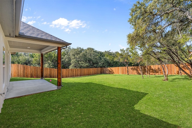 view of yard featuring a patio