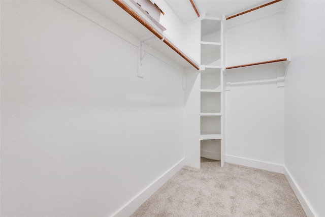 spacious closet with light colored carpet