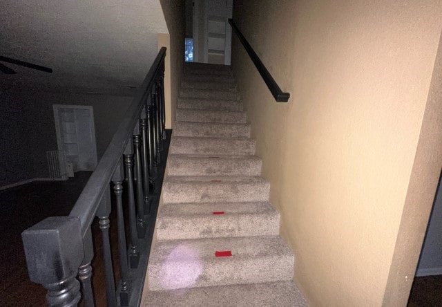 staircase featuring carpet floors