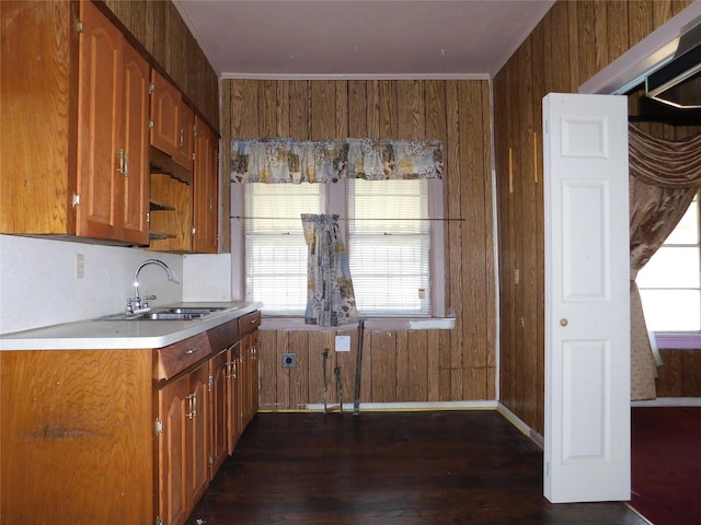 kitchen with dark hardwood / wood-style floors, ornamental molding, sink, and wooden walls