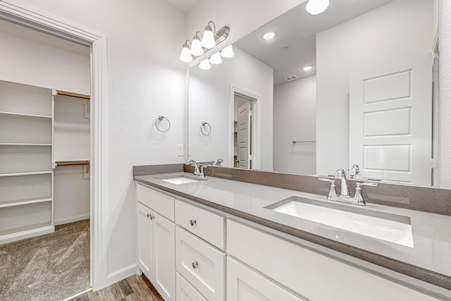 bathroom with hardwood / wood-style flooring and vanity