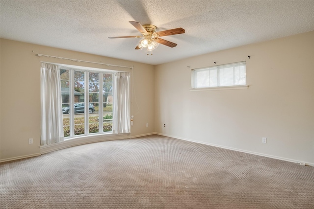 empty room with plenty of natural light, carpet, and a textured ceiling