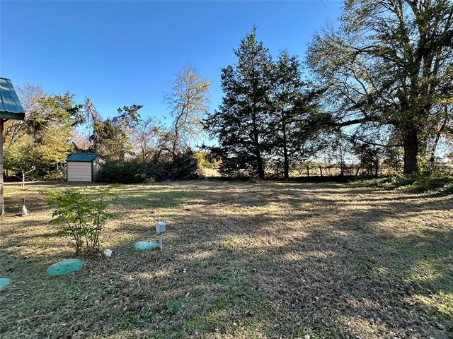 view of yard featuring a shed