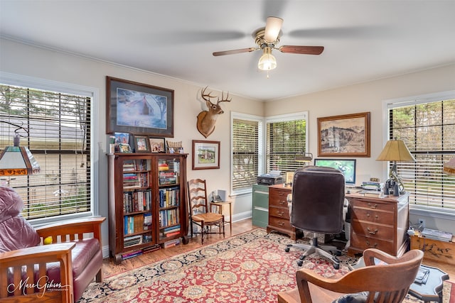 office area featuring a ceiling fan, ornamental molding, light wood-style flooring, and baseboards