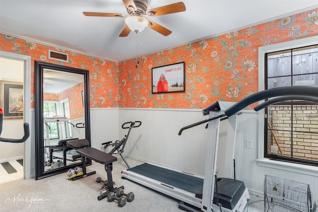 exercise room featuring carpet, wainscoting, visible vents, and wallpapered walls