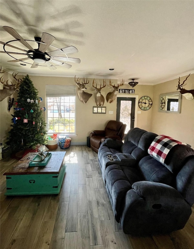 living room featuring ceiling fan, ornamental molding, and dark wood-type flooring