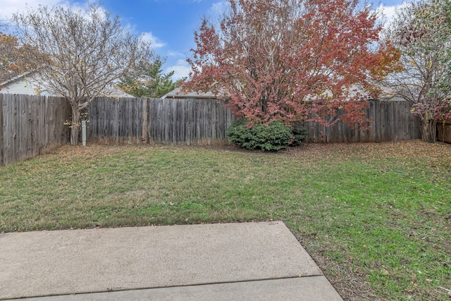 view of yard with a fenced backyard