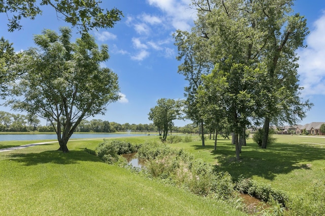 view of community featuring a water view and a yard