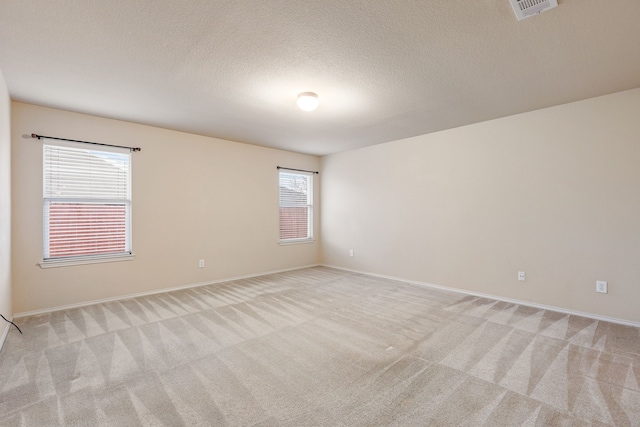 spare room featuring plenty of natural light, light colored carpet, and a textured ceiling