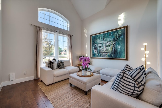 living room with hardwood / wood-style floors and high vaulted ceiling