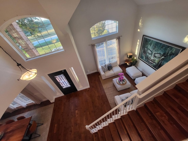 entrance foyer with dark hardwood / wood-style flooring and high vaulted ceiling