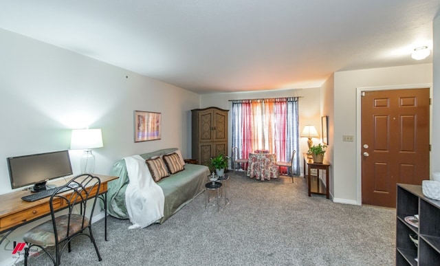 living room with carpet floors