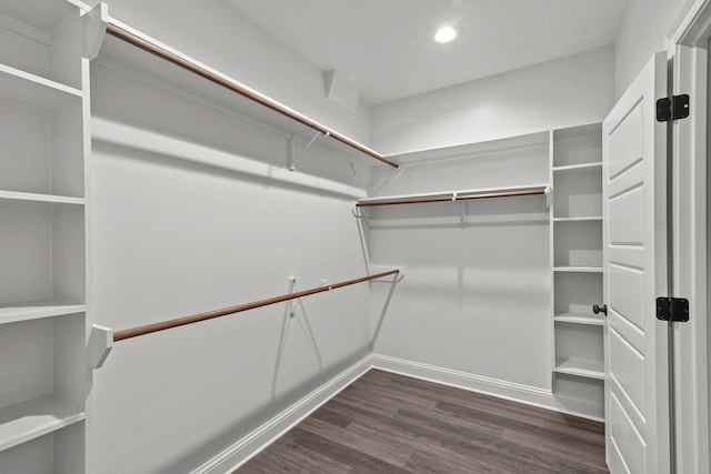 spacious closet with dark hardwood / wood-style floors