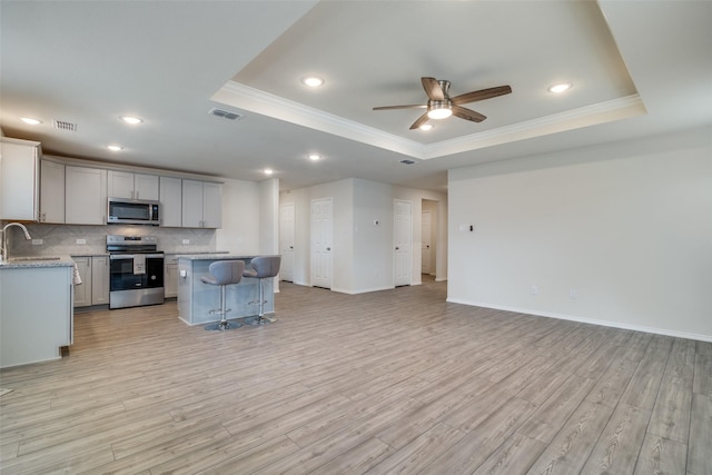 kitchen with a center island, sink, stainless steel appliances, light hardwood / wood-style flooring, and a tray ceiling