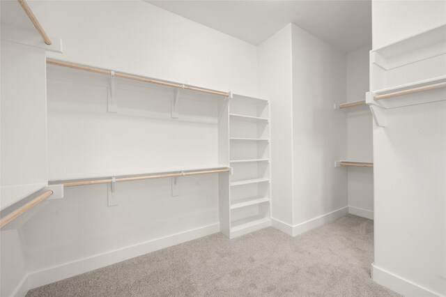 spacious closet with carpet