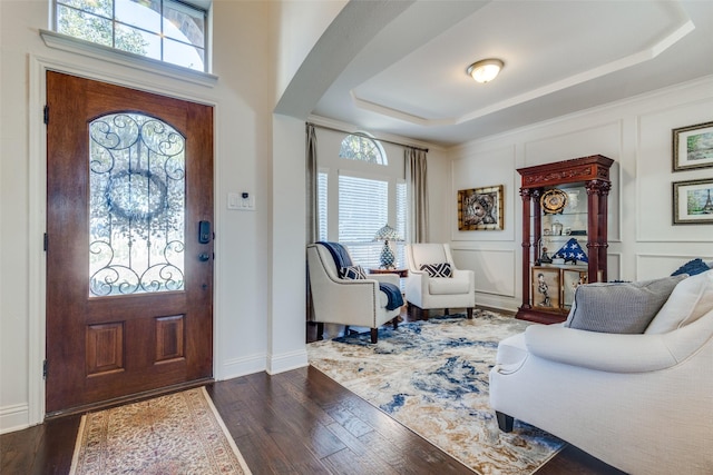 foyer entrance featuring a raised ceiling and dark wood-type flooring