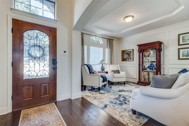 foyer with a tray ceiling, dark hardwood / wood-style flooring, and a healthy amount of sunlight