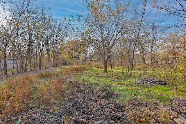 view of local wilderness