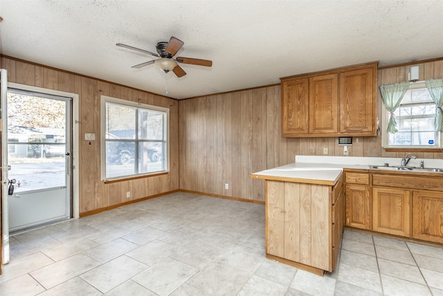 kitchen with a wealth of natural light, sink, and wooden walls