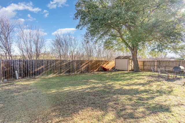 view of yard featuring a storage shed