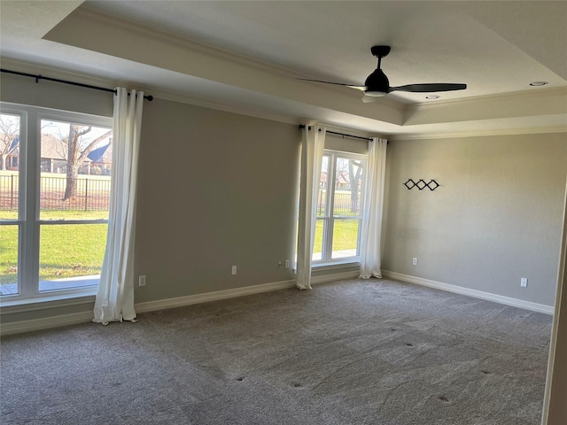 empty room featuring a raised ceiling, plenty of natural light, and ornamental molding