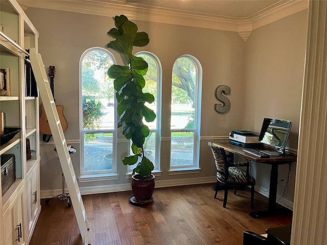 office space with ornamental molding, dark hardwood / wood-style floors, and a healthy amount of sunlight