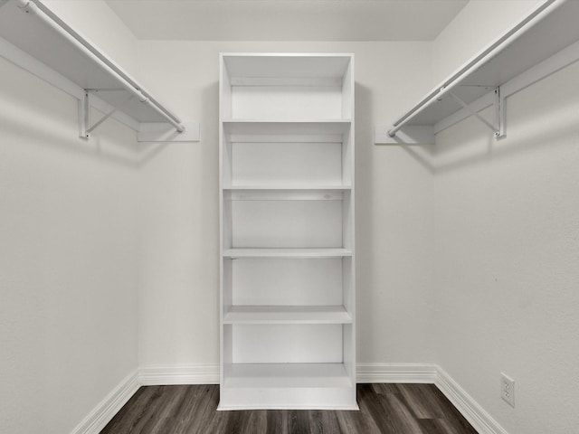 walk in closet featuring dark hardwood / wood-style flooring