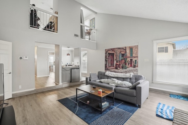 living room featuring hardwood / wood-style flooring and high vaulted ceiling