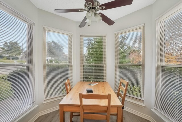 sunroom featuring a wealth of natural light and ceiling fan