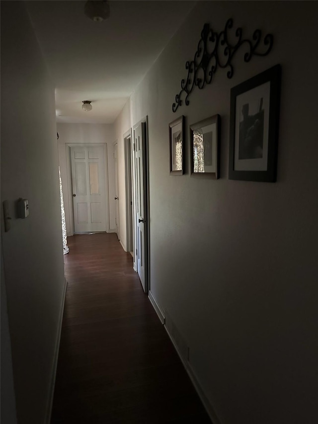 hall featuring dark hardwood / wood-style floors