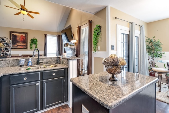 kitchen featuring light stone counters, sink, dark wood-type flooring, and a center island