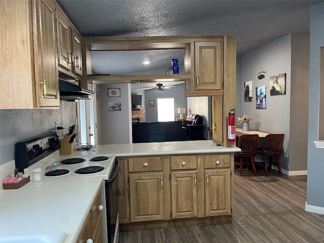 kitchen featuring ceiling fan, dark wood-type flooring, white electric range, a textured ceiling, and exhaust hood