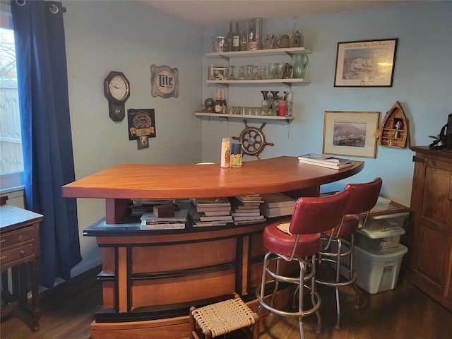 bar with dark hardwood / wood-style floors