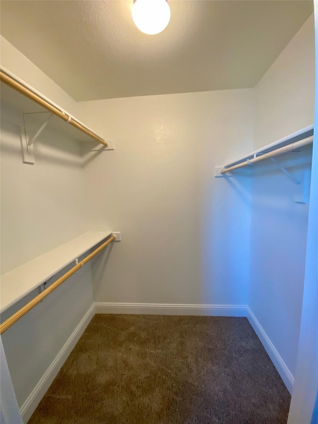 spacious closet featuring dark colored carpet