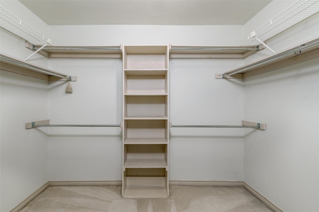 spacious closet featuring light colored carpet