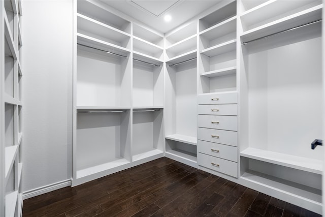 spacious closet featuring dark hardwood / wood-style flooring