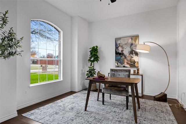 office featuring dark hardwood / wood-style flooring, ceiling fan, and plenty of natural light